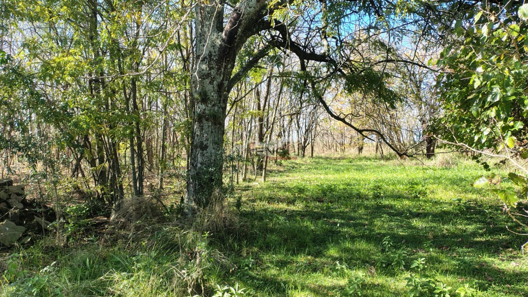 CAMPO EN VENTA 1.25 hectareas CONCEPCION DEL URUGUAY, ENTRE RIOS