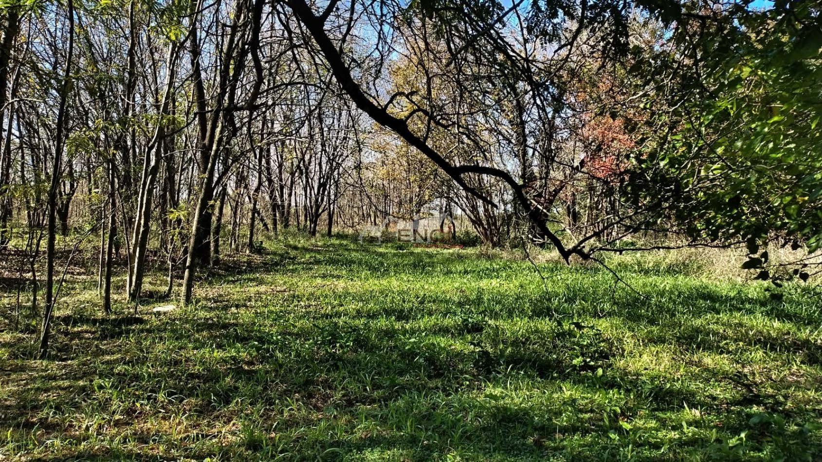 CAMPO EN VENTA 1.25 hectareas CONCEPCION DEL URUGUAY, ENTRE RIOS