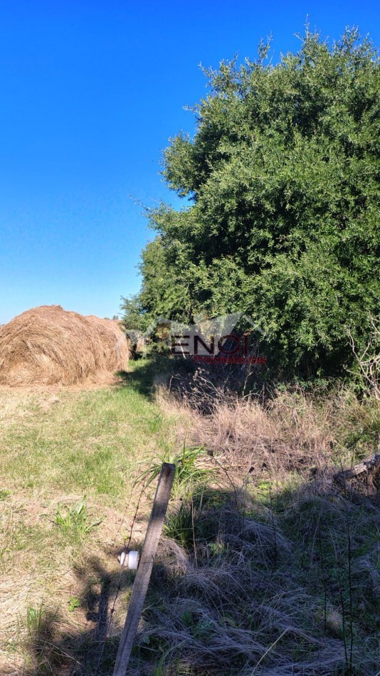 CAMPO EN VENTA 1.25 hectareas CONCEPCION DEL URUGUAY, ENTRE RIOS