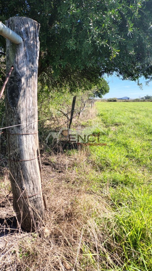 CAMPO EN VENTA 1.25 hectareas CONCEPCION DEL URUGUAY, ENTRE RIOS