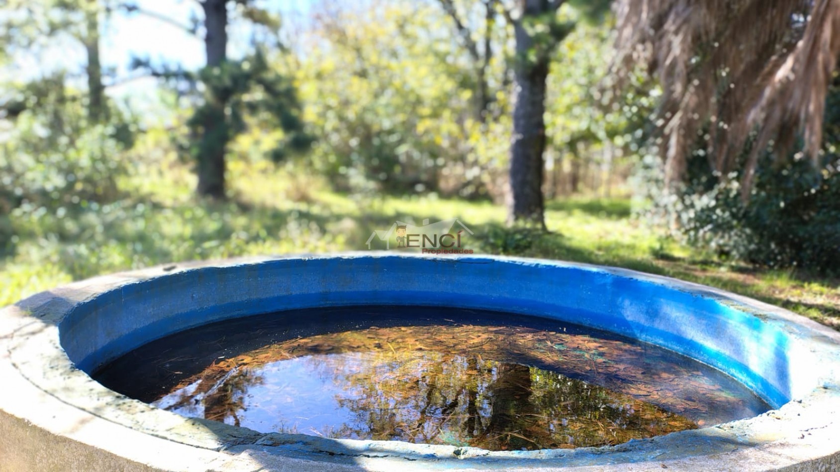 CAMPO EN VENTA 1.25 hectareas CONCEPCION DEL URUGUAY, ENTRE RIOS