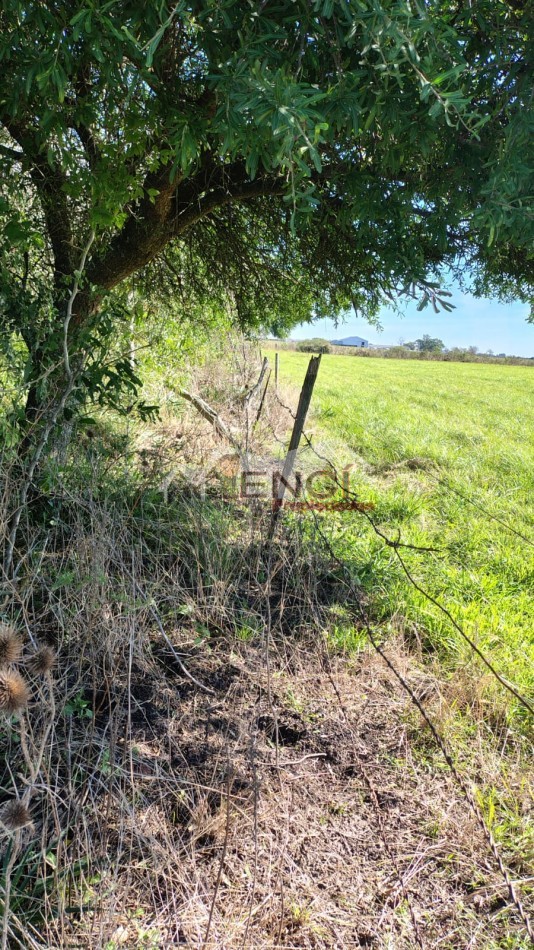 CAMPO EN VENTA 1.25 hectareas CONCEPCION DEL URUGUAY, ENTRE RIOS