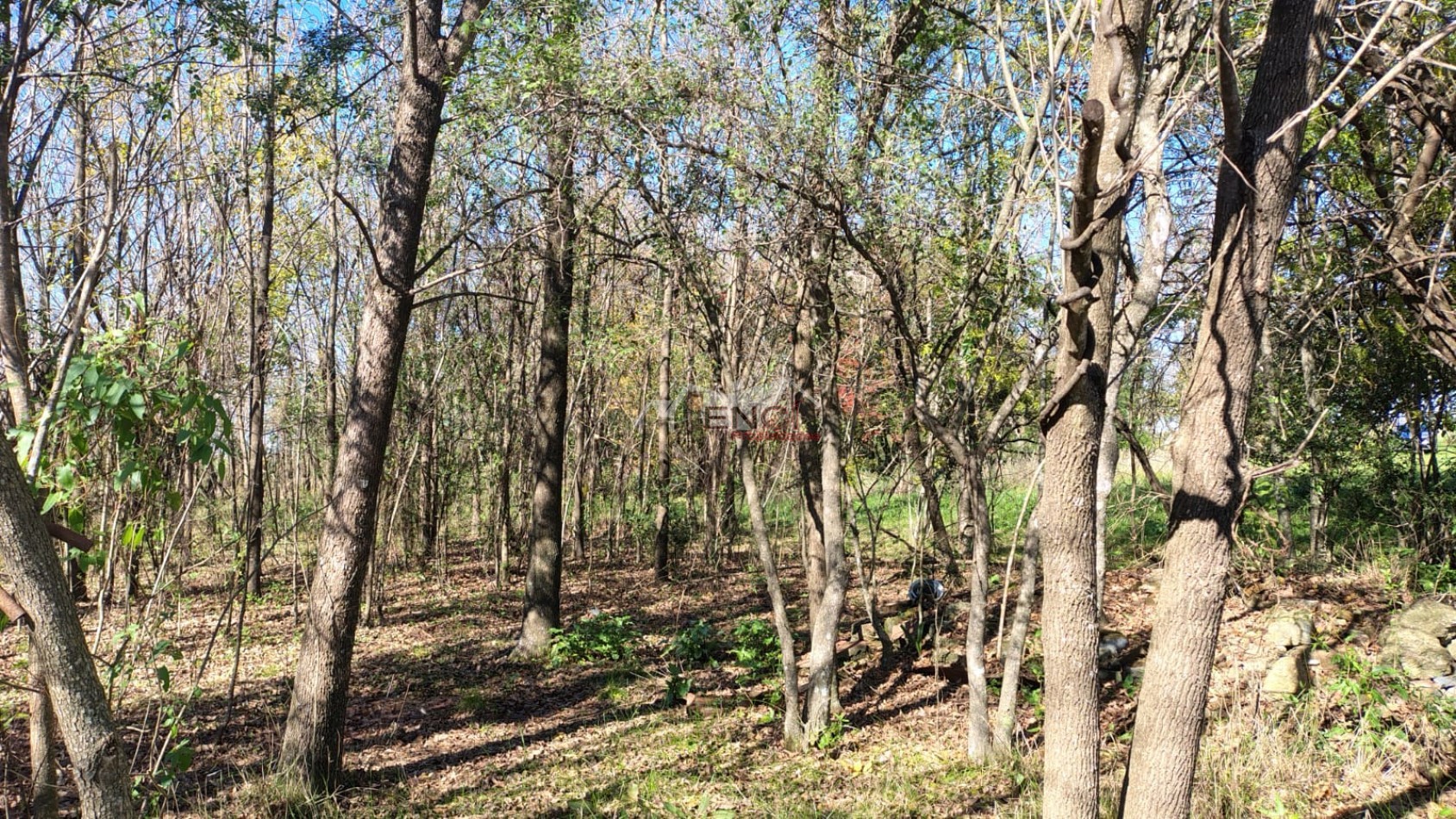 CAMPO EN VENTA 1.25 hectareas CONCEPCION DEL URUGUAY, ENTRE RIOS