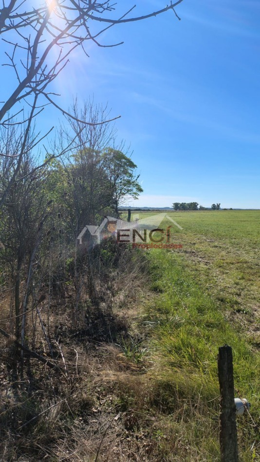 CAMPO EN VENTA 1.25 hectareas CONCEPCION DEL URUGUAY, ENTRE RIOS