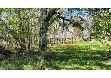 CAMPO EN VENTA 1.25 hectareas CONCEPCION DEL URUGUAY, ENTRE RIOS